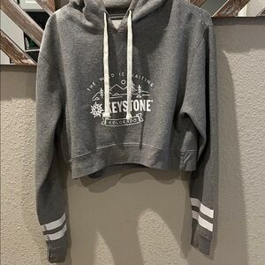 Gray crop hoodie